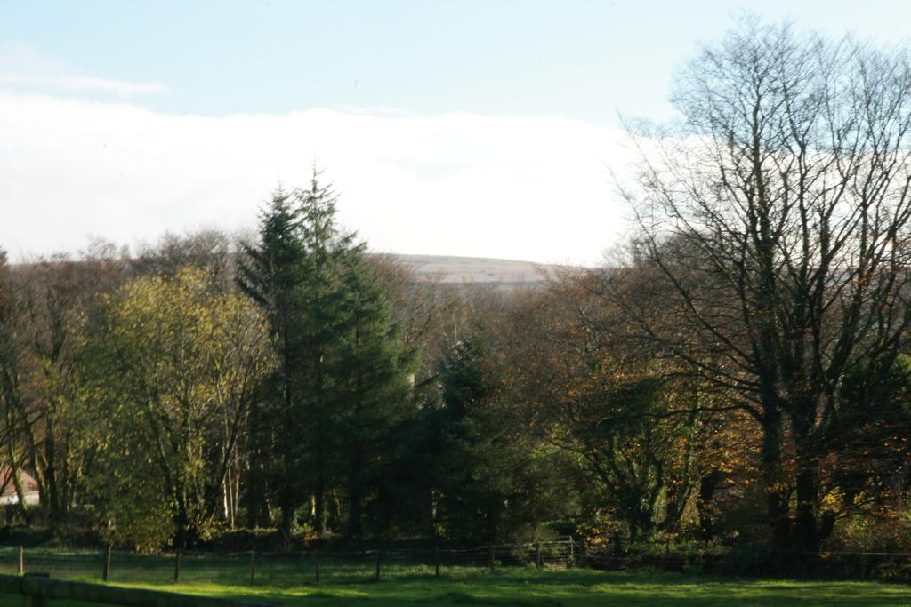 Lydford House Exterior foto